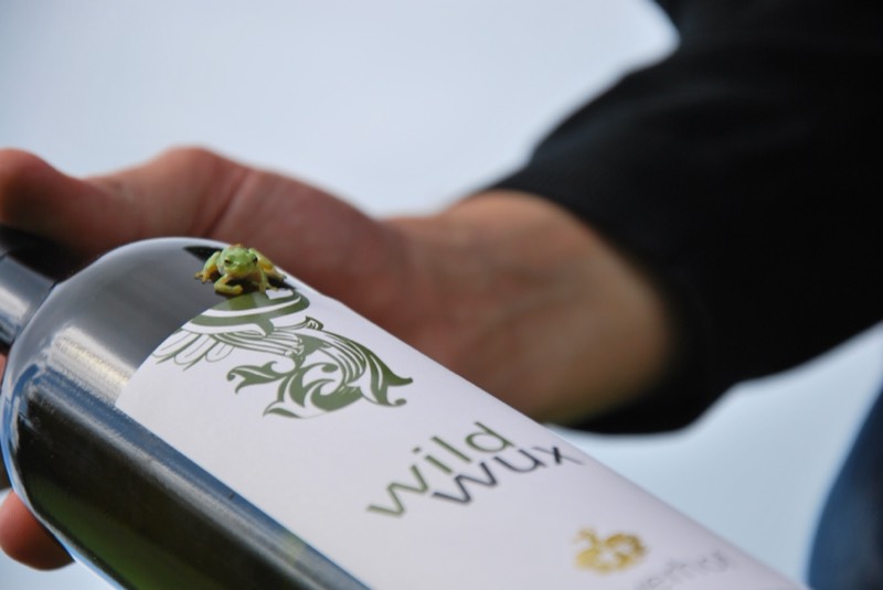 Bio-Weingut Geyerhof, Bild 3