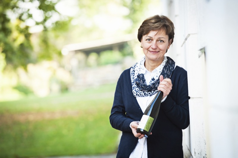 Bio-Weingut Geyerhof, Kremstal