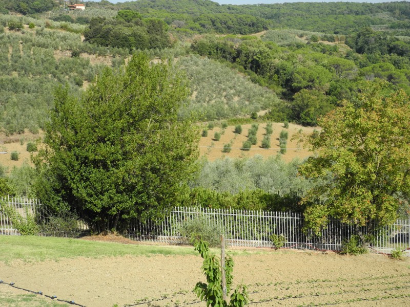 Fattoria San Michele a Torri, Bild 4