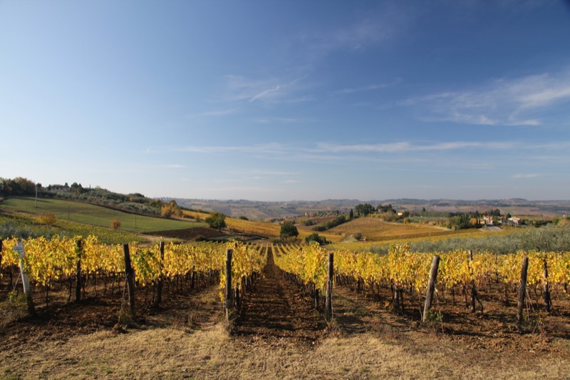 Fattoria San Michele a Torri, Toskana, Chianti Classico
