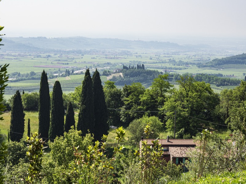 Azienda Agricola Fasoli, Bild 3