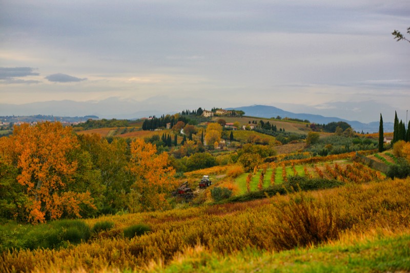 Podere di Marcialla, Toskana, Chianti