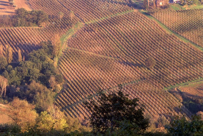 Moncaro, Bild 4