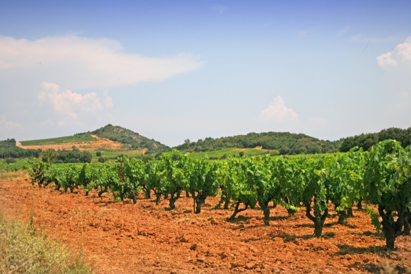 Domaine des Soulié, Bild 2