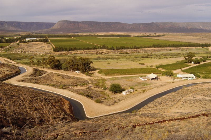 Stellar Winery, Bild 3