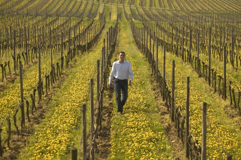 Weingut Wittmann, Bild 4