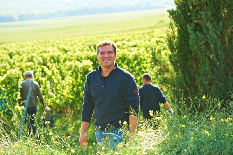 Weingut Wittmann, Rheinhessen