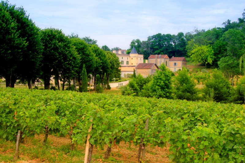 Château Peybonhomme-Les-Tours, Bild 3