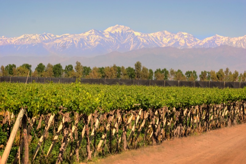 Bodega Santa Julia, Mendoza