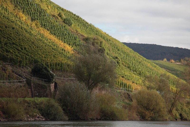 Weingut Frank Brohl, Bild 2