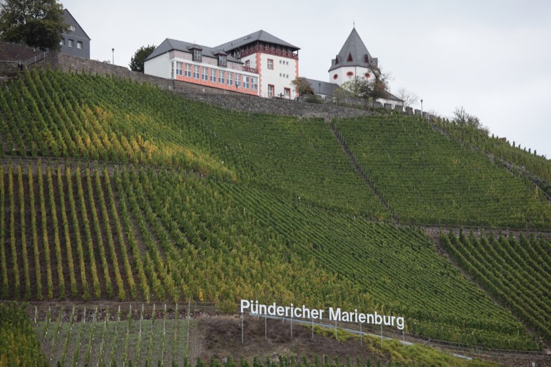 Weingut Frank Brohl, Bild 3