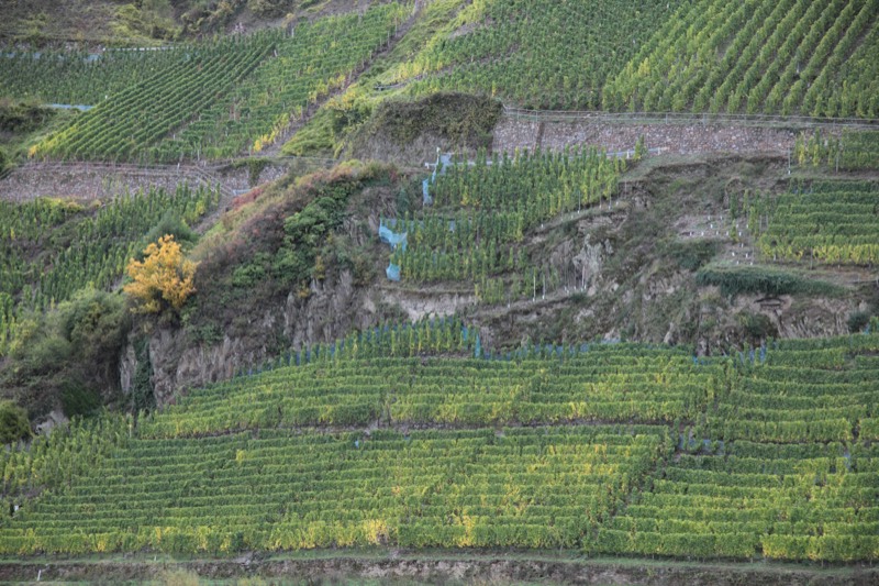 Weingut Frank Brohl, Mosel, Mittelmosel