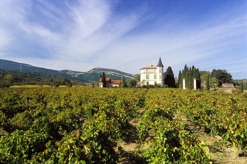 Château La Baronne, Languedoc, Corbières