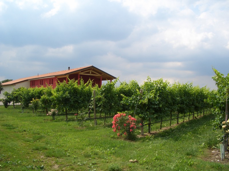 Azienda Agricola La Jara, Veneto, Treviso, Valdobbiadene