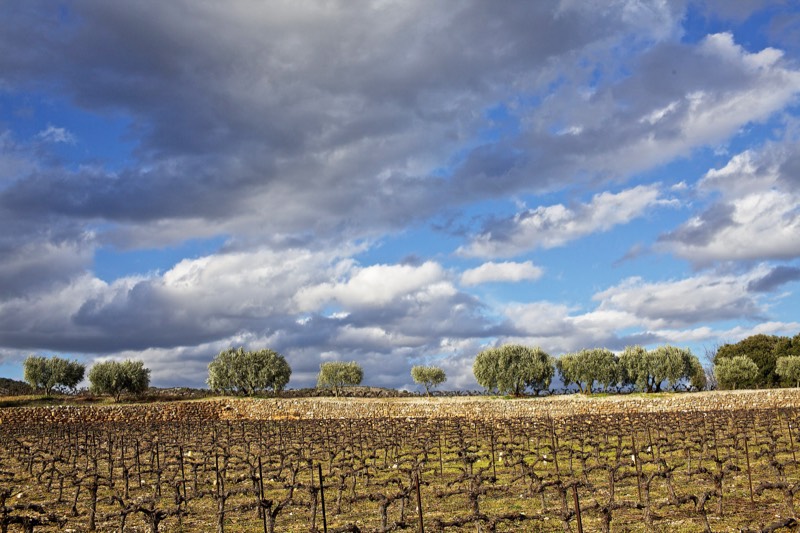 Mas des Quernes, Bild 4