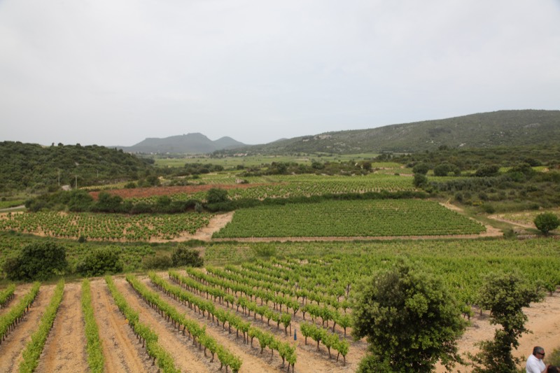 Mas des Quernes, Languedoc, Terrasses du Larzac