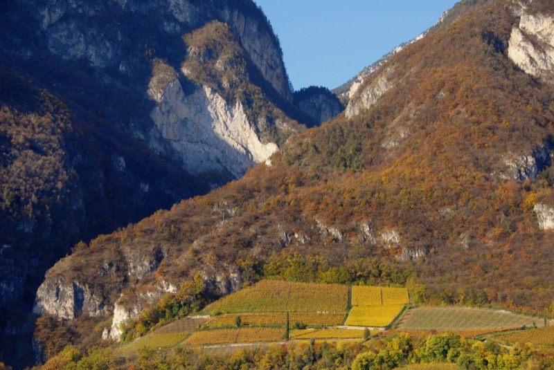 Weingut Alois Lageder, Bild 2