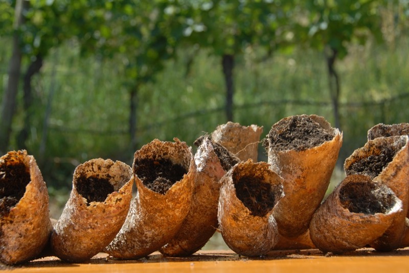 Weingut Alois Lageder, Bild 4
