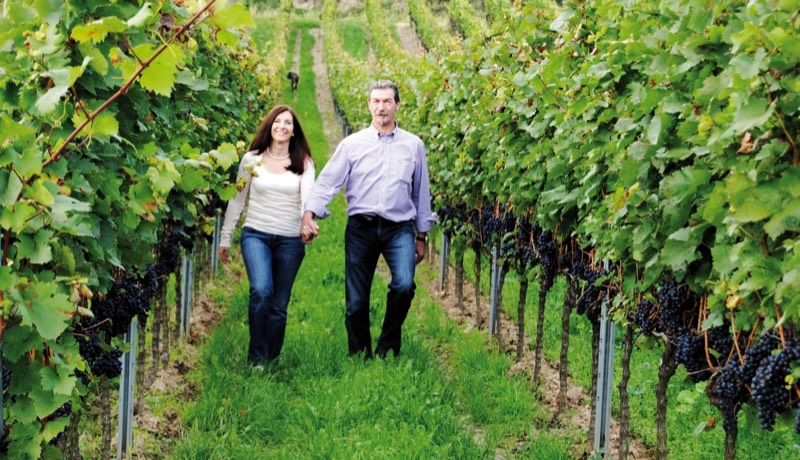 Weingut Kreichgauer, Bild 2