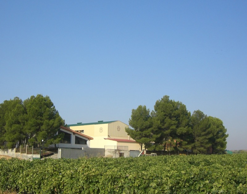 Vegalfaro, Utiel-Requena