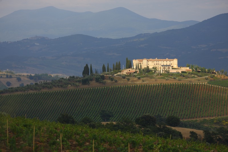ColleMassari, Grattamacco, Poggio di Sotto, Toskana