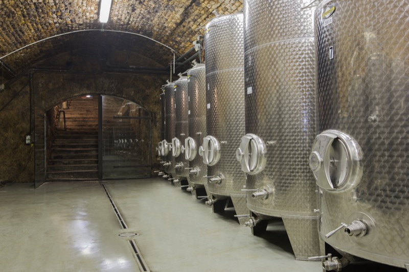 Weingut Schmidl, Bild 3