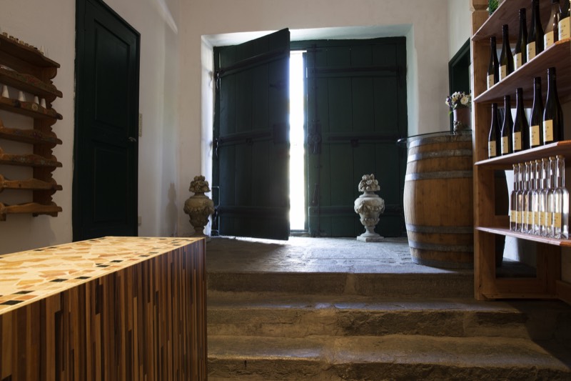 Weingut Schmidl, Bild 4