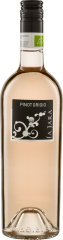 Pinot Grigio Rosé delle Venezie DOC  La Jara Biowein 