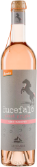 Bucefalo Pinot Grigio Vino da uve appassite Lunaria Bio 