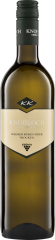 Weißer Burgunder Gutswein QbA  Biowein Knobloch 