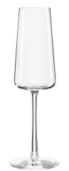 Power Champagnerkelch Stölzle (6er Karton) 