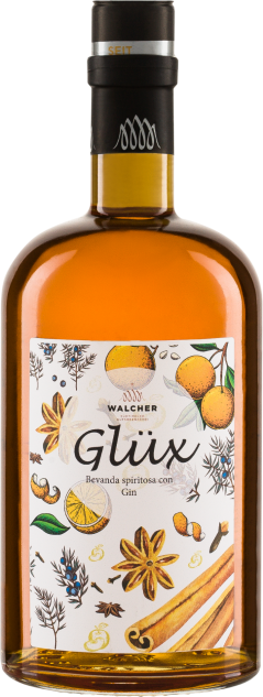 Glüx Punch mit Gin Bio Walcher Glühgin Südtirol 