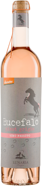 Bucefalo Pinot Grigio Vino da uve appassite Lunaria Bio 