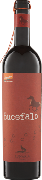 Rosso Bucefalo Vino da uve appassite Lunaria Bio 