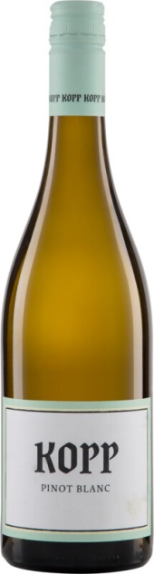 Pinot Blanc Gutswein Kopp Biowein 