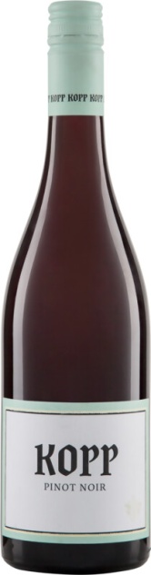 Pinot Noir Gutswein Kopp Biowein 