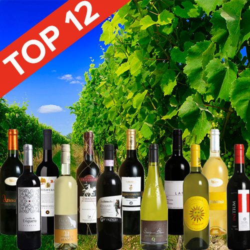 Topsellerpaket 12 