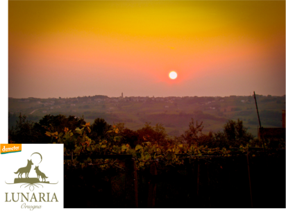 Pecorino Civitas Terre di Chieti IGP Lunaria Biowein 