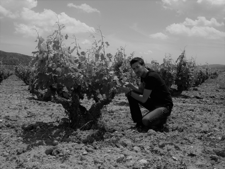 Vermador Tinto Crianza Alicante DO  Pinoso Biowein 