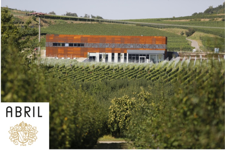 Spätburgunder Rosé Frucht QW  Abril Biowein 