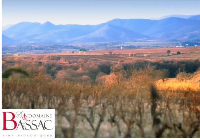 ARMONIA Rosé Domaine Bassac Biowein 