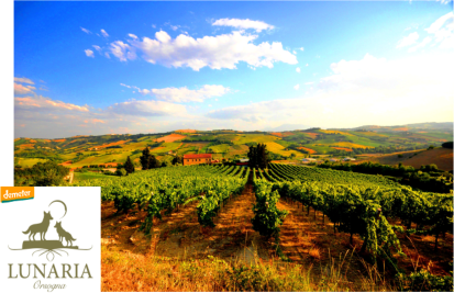 Montepulciano Coste di Moro DOP  Lunaria Demeter 