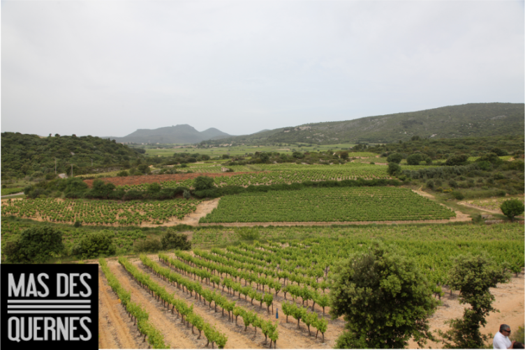 Gens et Pierres Sud-Sud Rouge IGP  Biowein 
