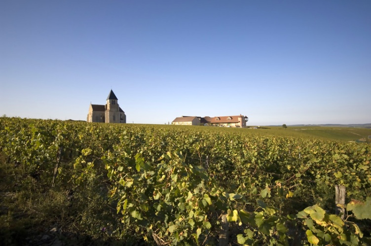 Chablis Premier Cru  Butteaux AOC  Brocard Biowein 