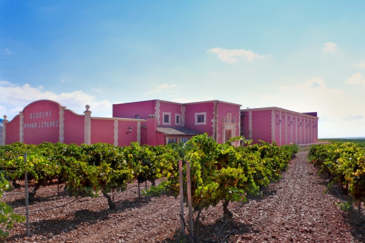 Camino Tinto Biowein 
