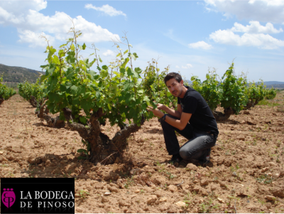 Vergel Tinto Alicante DO  Pinoso Biowein 
