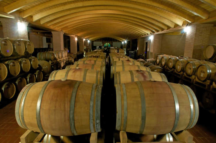 Borgoletto Bianco DOC 2023  Fasoli Biowein 