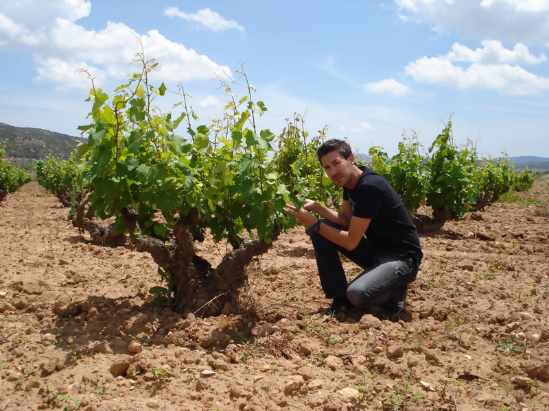 Bio-weinhandel.de Biowein aus Spanien